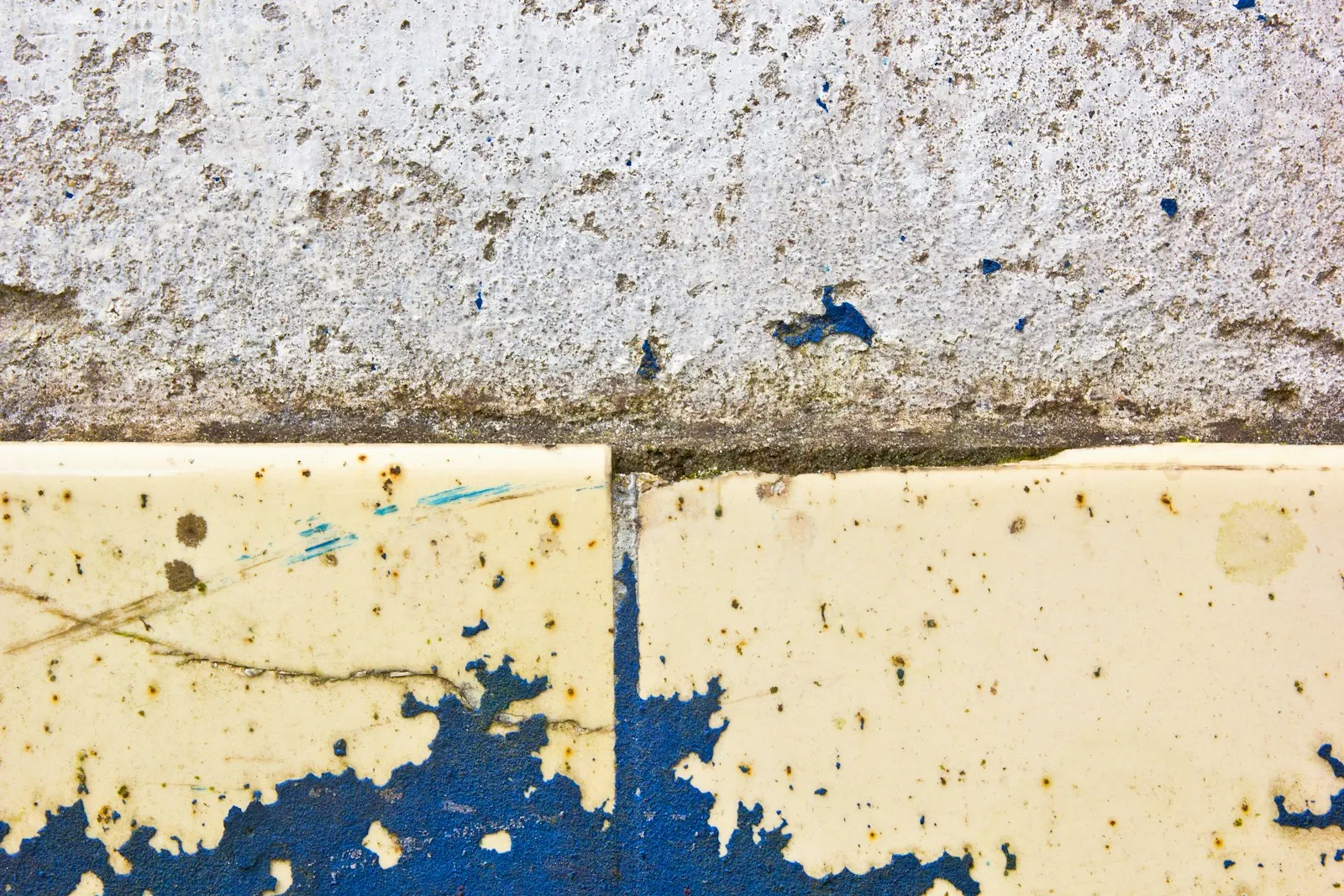 Vocht en Schimmel in Den Haag: Oorzaken & Oplossingen